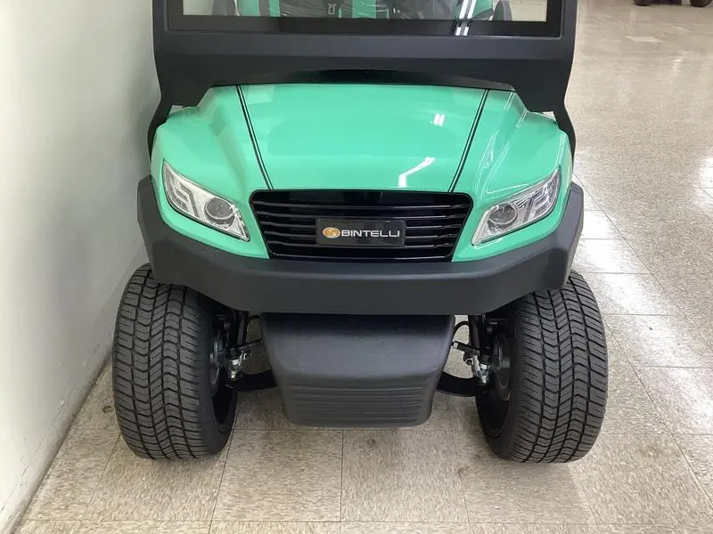 New Bintelli 2 Seater Golf Cart at Sequence Golf Carts South Africa