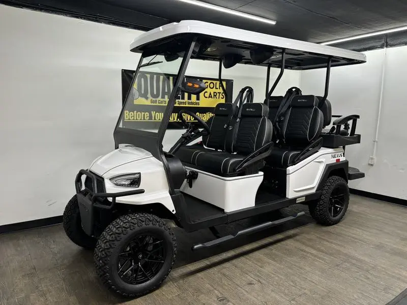 New Bintelli 2-Seater Off-Road Golf Cart at Sequence Golf Carts South Africa