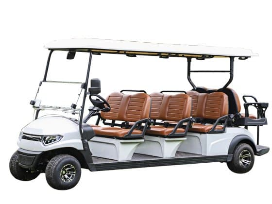 New Xunhu 2 Seater Golf Cart at Sequence Golf Carts South Africa